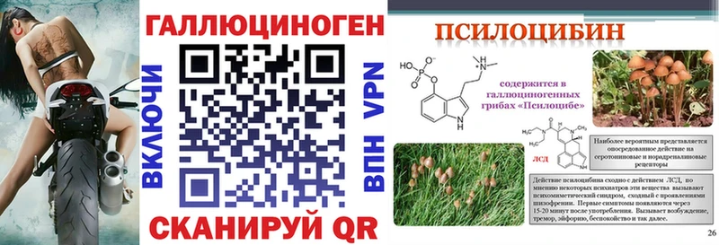 hydra онион  Улан-Удэ  Галлюциногенные грибы прущие грибы 