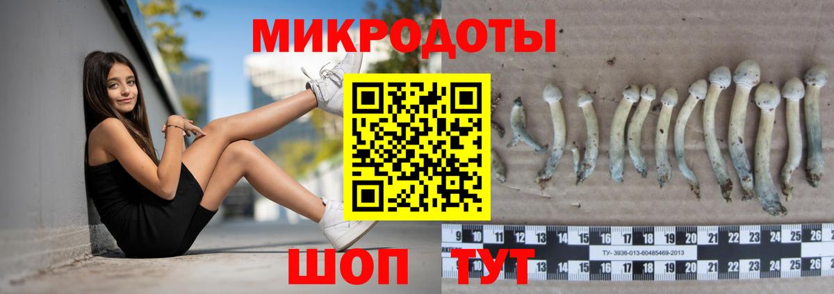 Псилоцибиновые грибы мицелий  Вход с VPN  Улан-Удэ 